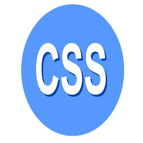 독학 CSS - 1. 기초