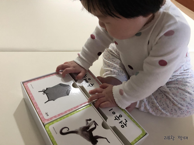 세이펜 지원가능 한 아기 로이엘 퍼즐 낱말카드로 한글 영어 공부해요