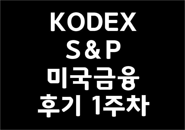 KODEXS＆P미국금융 후기 1주차