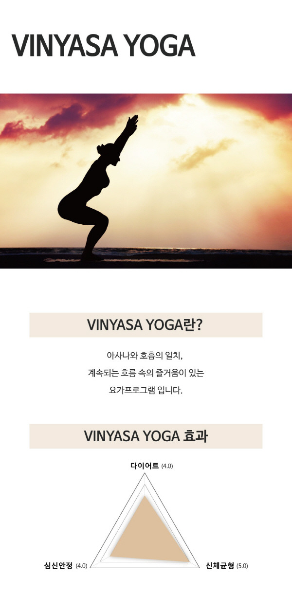 VINYASA YOGA.