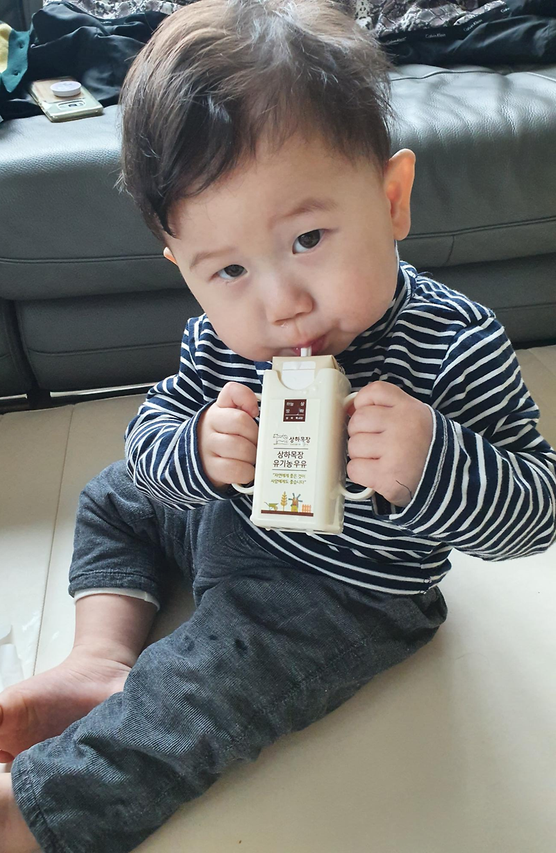 상하목장 유기농우유 - 아이 첫 생우유 먹는식