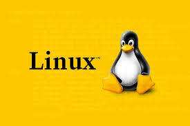 [Linux] VMWare에 CentOS 리눅스 설치하기