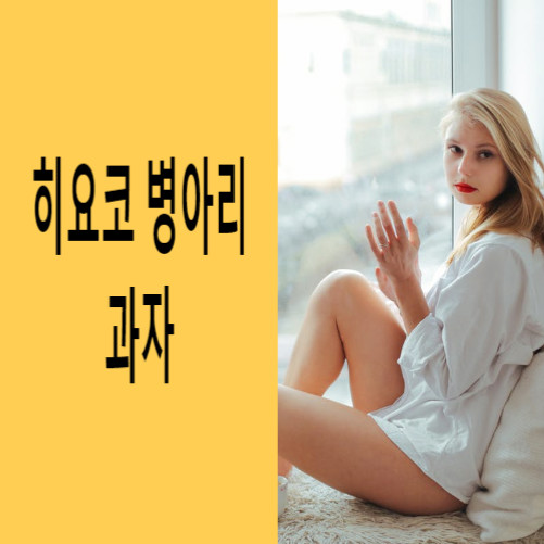 나가노랜드