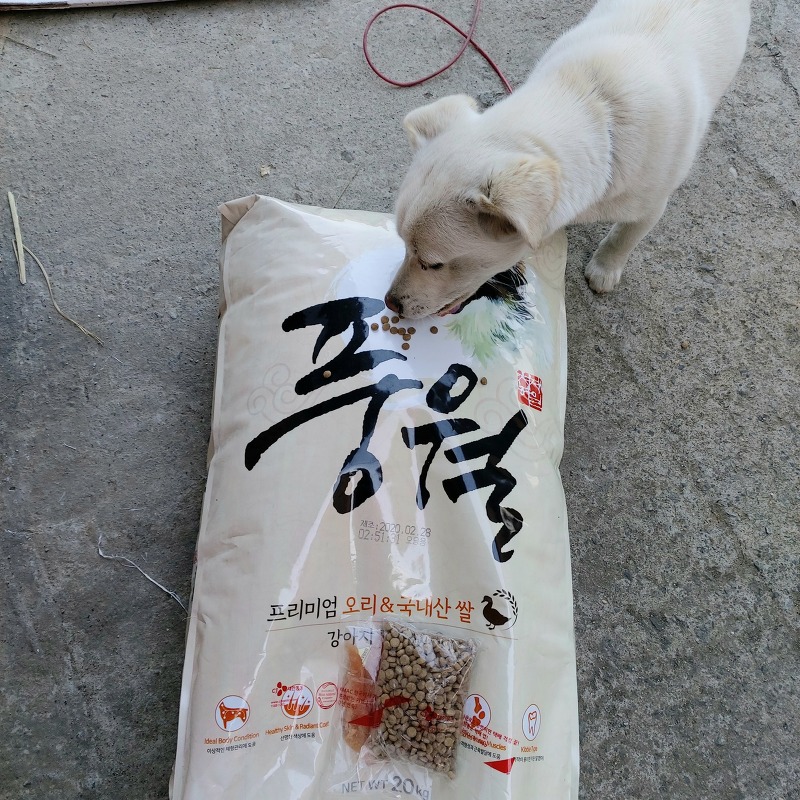 강아지 사료 종류, 풍월 대용량 20kg, 개사료 가격