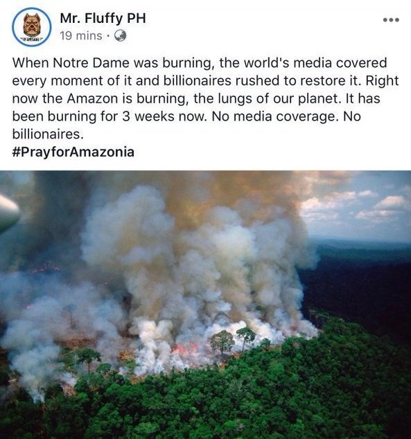 노틀담 대성당 화재와 아마존 숲 화재의 비교