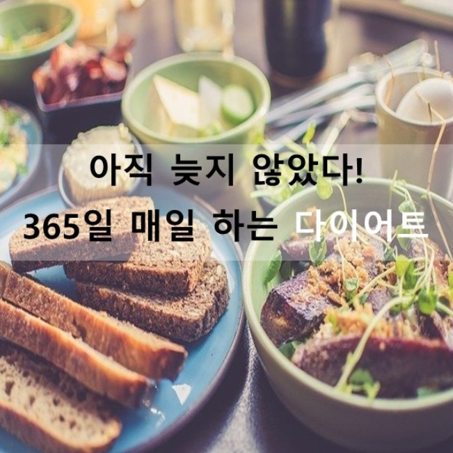 다가오는 여름 '다이어트' 규칙적인 운동과 식단 조절이 필요합니다.