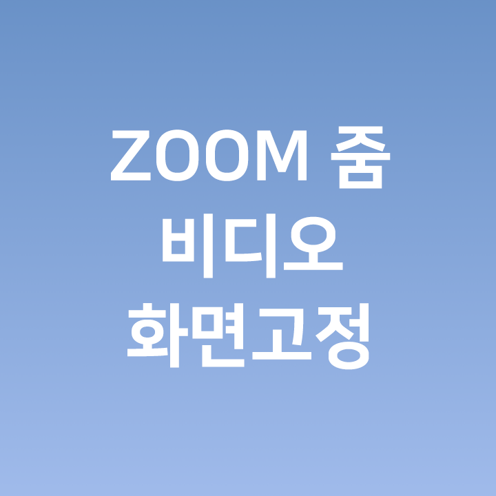 ZOOM 줌 화면고정 - 비디오 보고싶은 사람만 보기