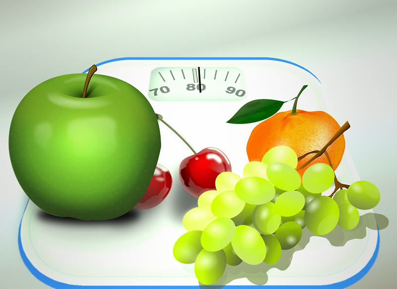 비만도 계산기와 체지방 계산기 어플리케이션과 홈페이지 소개(BMI 지수, 칼로리 기초대사량 계산기)
