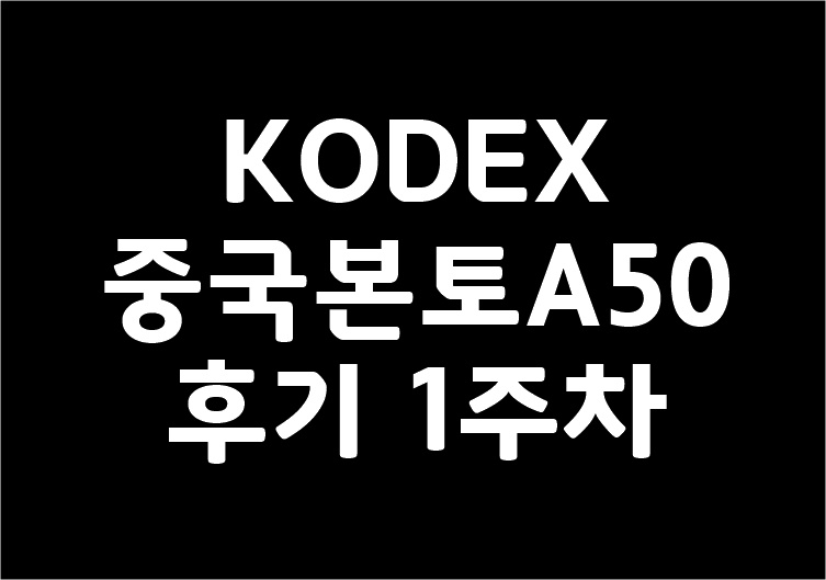 KODEX중국본토A50 후기 1주차