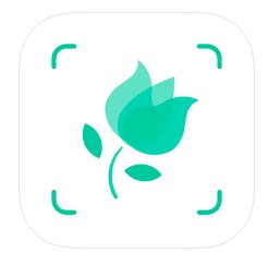 [아이폰 추천앱] 식물, 꽃 이름을 찾아주는 앱 PictureThis