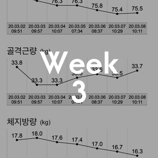 [Day 21] 치팅데이 2