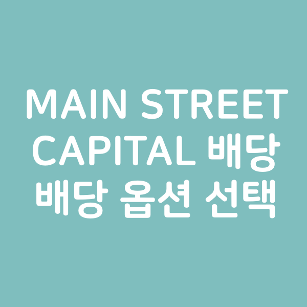 미국 주식 투자 배당옵션 선택 - MAIN STREET CAPITAL 배당
