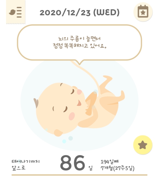 임신 27주 5일 - 임산부 일상 일기