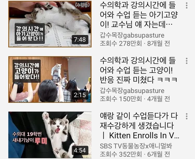 햄스터 관련 영상으로 논란중인 고양이 유튜브 채널 갑수목장