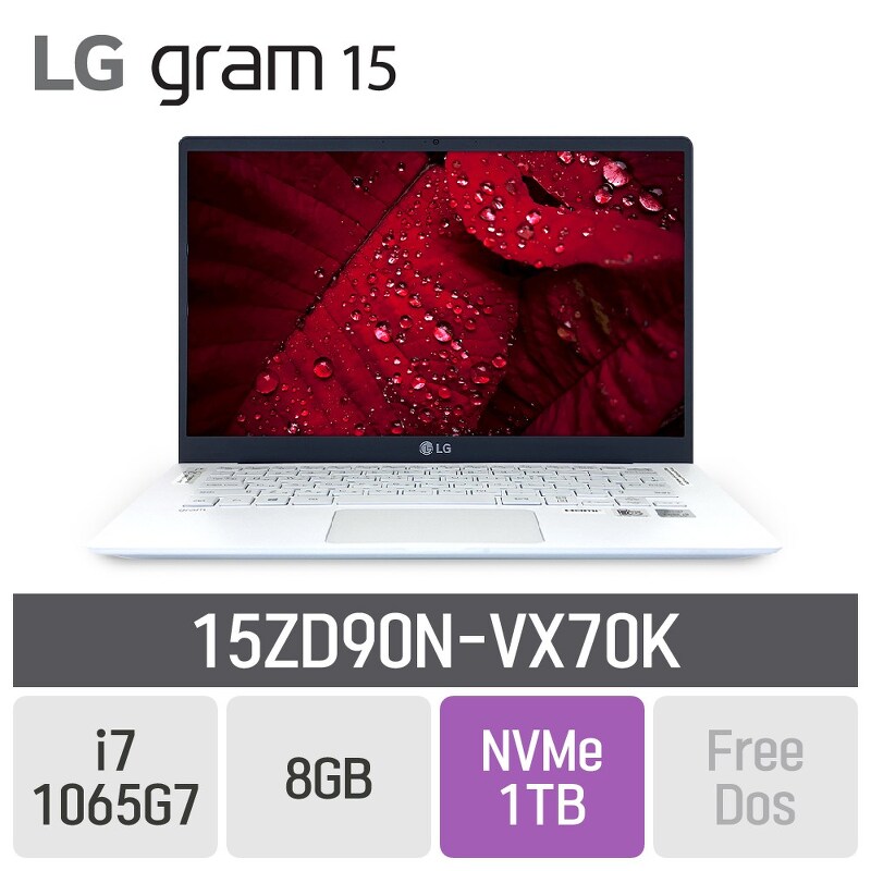LG 그램15 2020 15ZD90N-VX70K, 8GB, SSD 1TB, 미포함