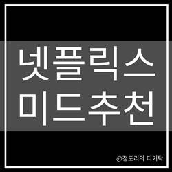 넷플릭스 미드 추천