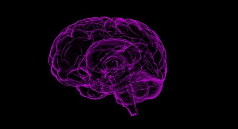 뇌경색과 뇌의 혈관 장해는 어떻게 일어날까?
