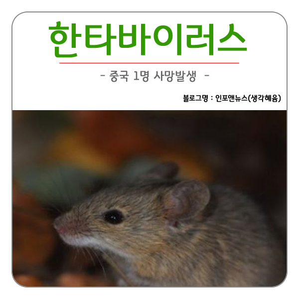 코로나바이러스 이어 한타바이러스 로 중국 1명사망