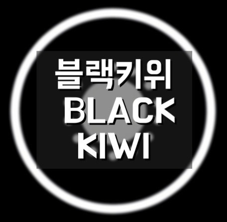 블로그를 키워보자⑥ - 키워드 분석 사이트, 블랙키위 Blackkiwi