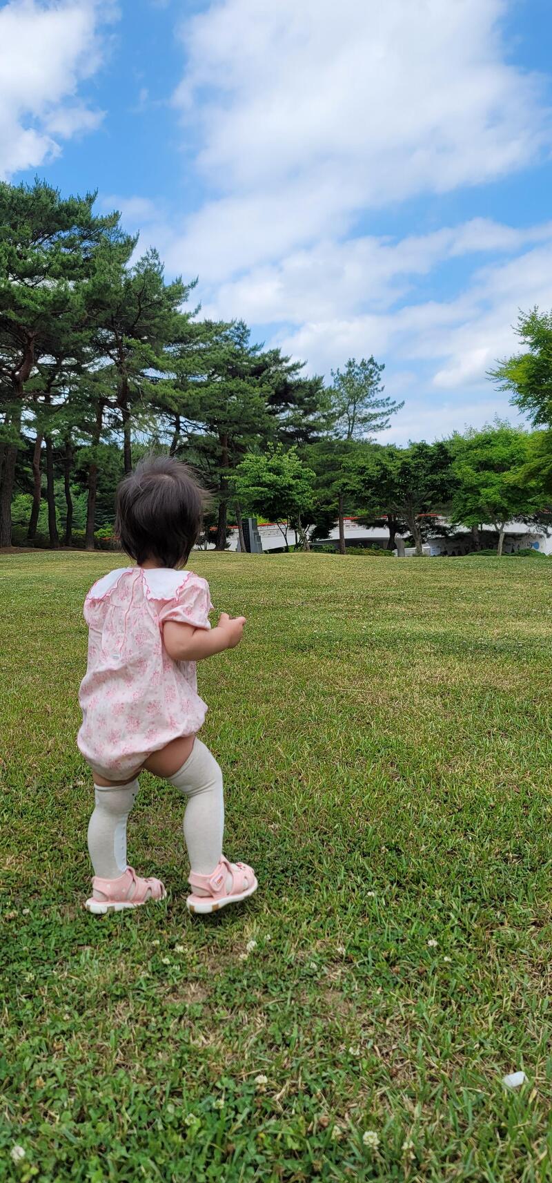 15개월 아기 독립기념관 잔디밭 나들이