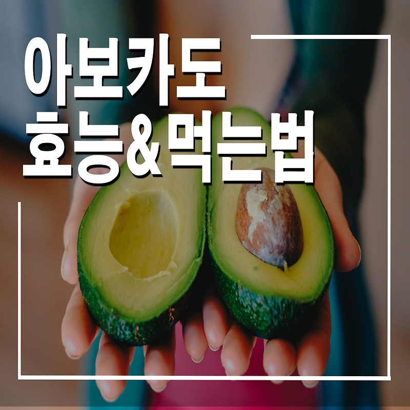 [생활정보/건강] 아보카도 효능 / 아보카도 먹는법