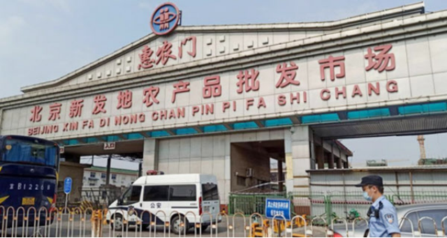 베이징 신파디 농수산물 도매시장 관련 확진자 급증, 중국 코로나 2차 확산 우려