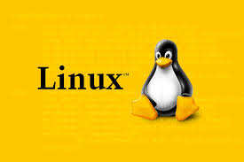 [Linux] VMWare 설치하기