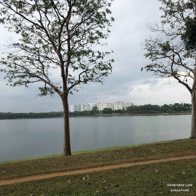[싱가포르 공원 추천] 베독 레져보어 @Bedok Reservoir Singapore