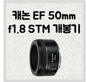 캐논 EF 50mm f1.8 STM 점팔이 렌즈 개봉기