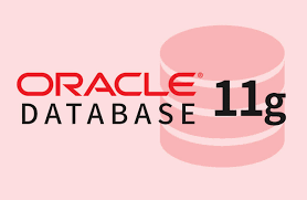 [Database] 윈도우 10에 Oracle 11g 설치하기