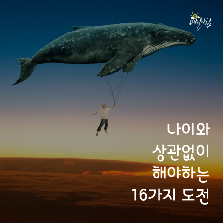 [매일아침좋은글] 나이와 상관없이 해야하는 16가지 도전