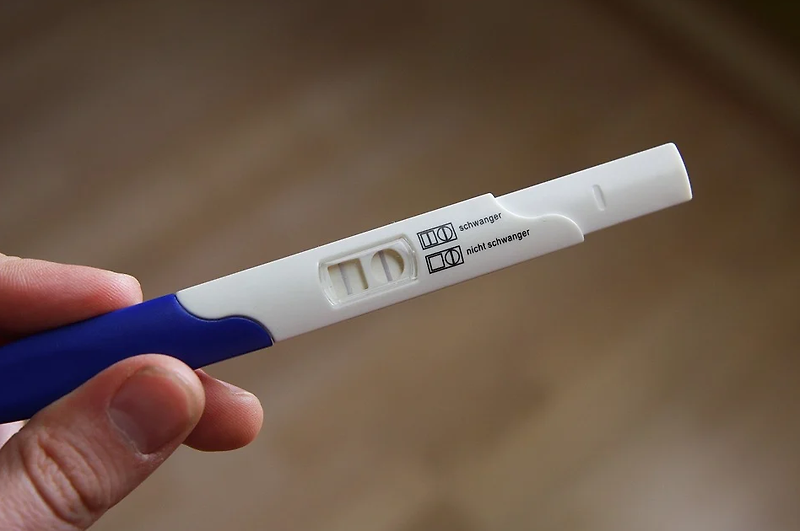임신테스트기사용시기 및 임신테스트기사용법