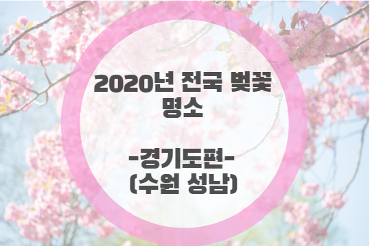 2020년 전국 벚꽃 놀이 명소 경기도편(수원,성남)
