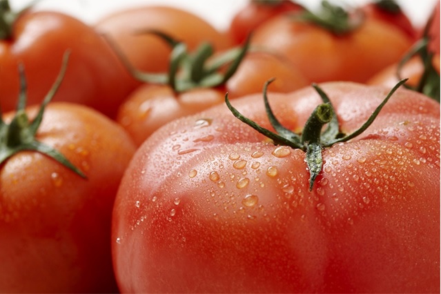 토마토 영양소 극대화시키는 방법