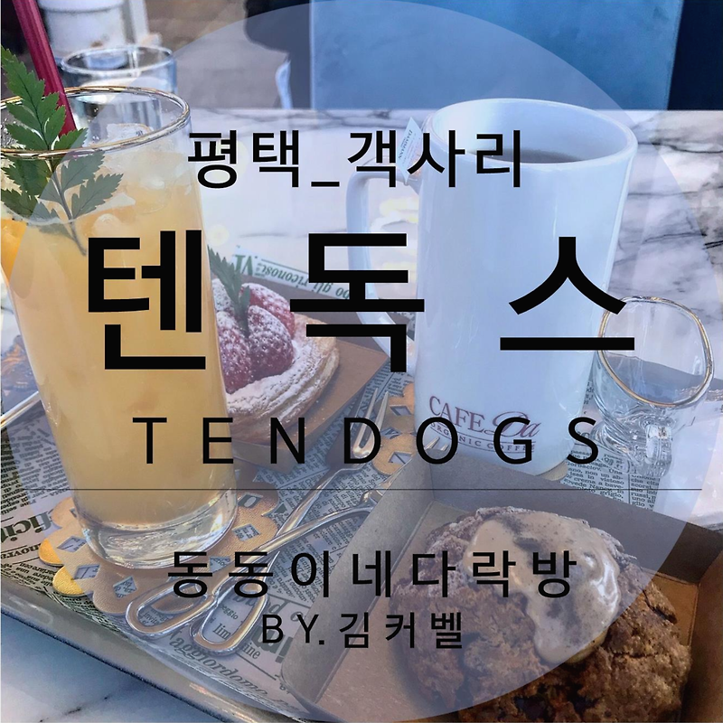 평택카페] 애견동반 카페 텐독스(TENDOGS)