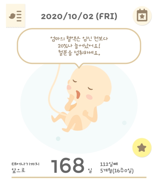 임신 16주 0일 - 임신 5개월 나들이