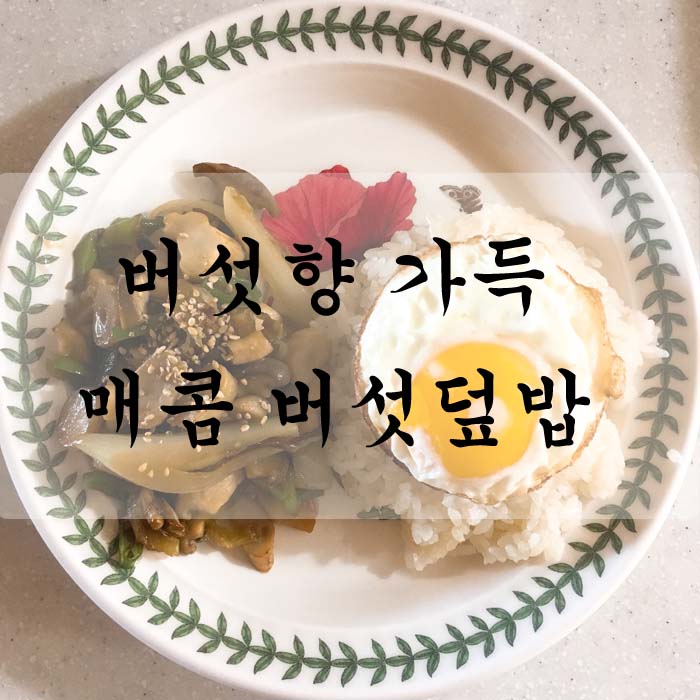 [소소한끼] 한그릇요리 매콤버섯덮밥