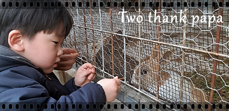 2살, 5살 아기 환여해맞이공원 동물원에서 토끼 먹이 주기!
