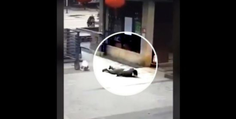 중국 우한의 유튜버가 '우한 폐렴'의 심각성 알리기 위해 목숨 걸고 올린 영상