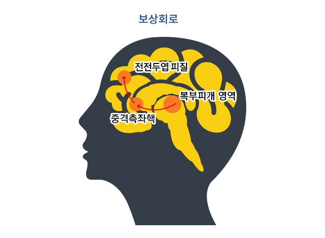 포르노 중독 위험성.  두뇌 망가진다