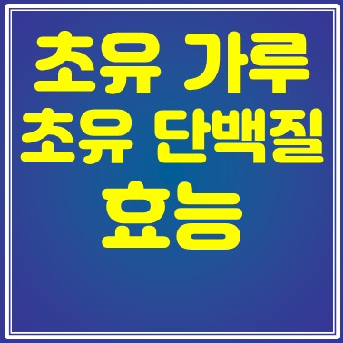 초유가루 송승헌 초유단백질 분말 효능