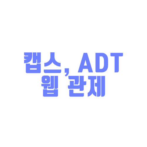 캡스 ADT 웹관제