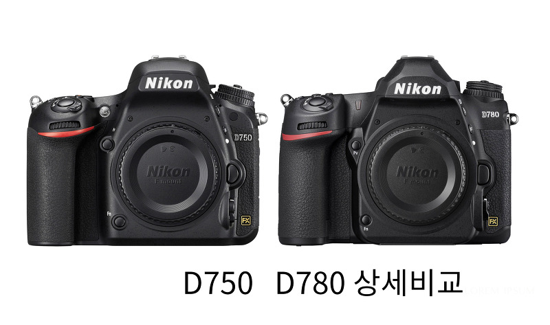 니콘 D780 vs D750  상세스팩 및 가격 비교