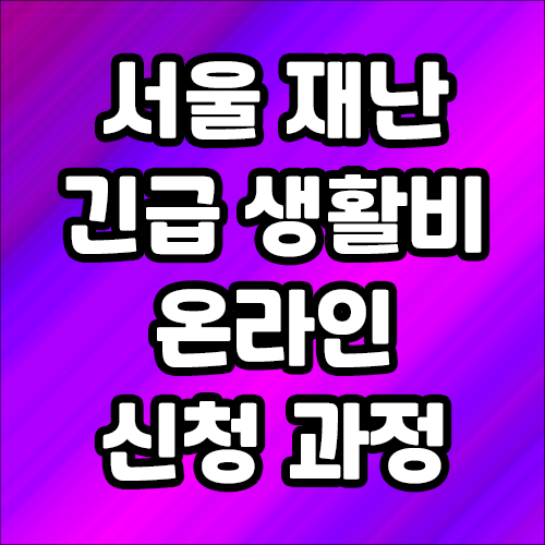 서울시 재난 긴급생활비 온라인  신청하는 방법과 작성 순서 - 자세한 설명