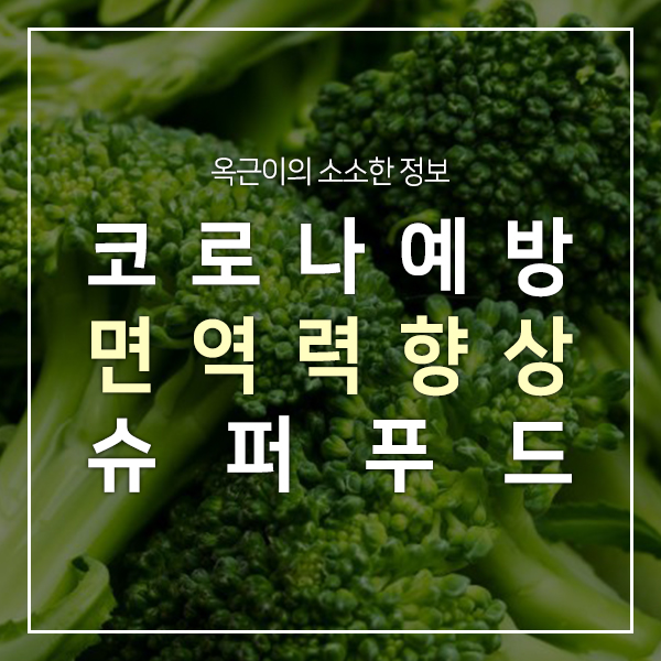 옥근이의 소소한 정보