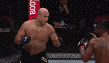 UFC 롤리 : 블레이즈 vs 도스 산토스 피니시 영상(GIF) 및 뒷얘기