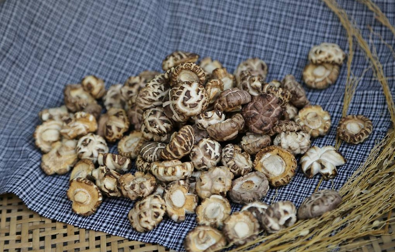 표고버섯 효능과 표고버섯 유래 및 기원과 표고버섯 역사 정보