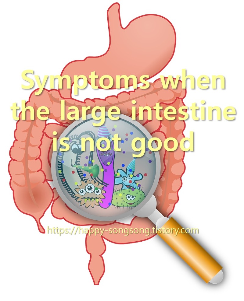 What the large intestine does and when the large intestine is not good
