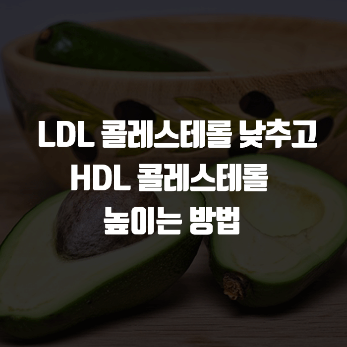 LDL 콜레스테롤 낮추고 HDL 콜레스테롤 높이는 방법