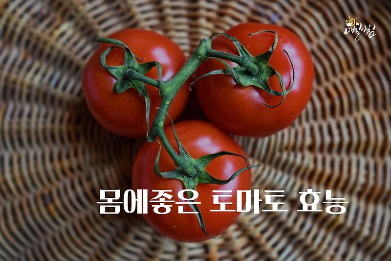 [매일아침좋은글] 몸에좋은 토마토 효능 섭취 시 주의할점